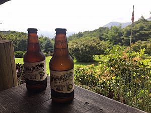 Waynesville Soda with Mountain Views